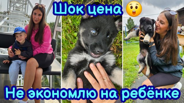 НЕ ЭКОНОМЛЮ НА РЕБЁНКЕ | ПОКУПКИ ИЗ МАГНИТ-КОСМЕТИК | ПОДГОТОВКА К ДНЮ РОЖДЕНИЯ | КОТ ЗЛОДЕЙ?