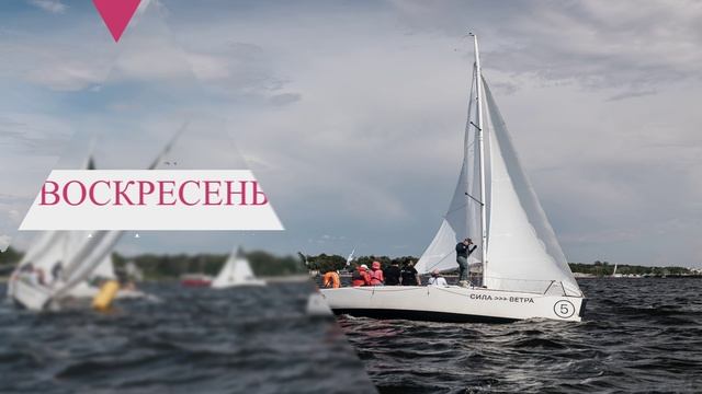 регата