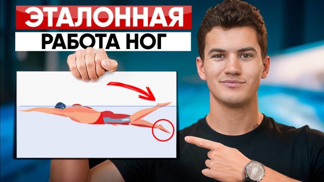 Секрет сильных и лёгких ног в кроле. Эталонная техника ног в плавании кролем