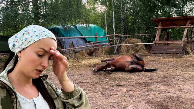КАК ЛЮДИ ЖИВУТ. ЛОШАДЬ ТРАВМИРОВАЛАСЬ, ЧТО БУДЕМ ДЕЛАТЬ? МУЖ УШЕЛ В ДРЕМУЧИЙ ЛЕС. ЖИЗНЬ В ДЕРЕВНЕ