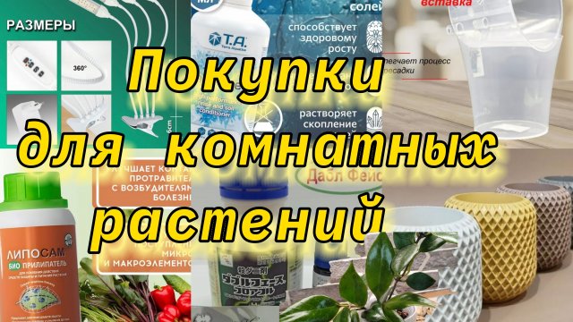 Покупки для комнатных растений | Фитолампа, кашпо, препараты, удобрения