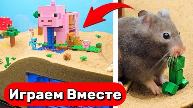 ЛАБИРИНТ В СТИЛЕ МАЙНКРАФТ ДЛЯ УМНОГО ХОМЯКА 🐹 ВИДЕО ДЛЯ ДЕТЕЙ