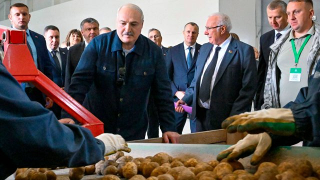 Лукашенко: Отсутствие отечественного картофеля в магазинах Беларуси недопустимо