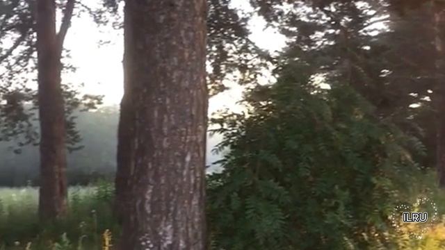 Истории из жизни видео рассказы. Таинственный случай...