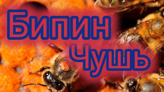 Бипин.Чушь.