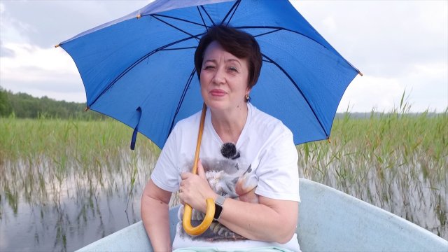 3624. Хлеб на каждый день. 29 августа. Псалом 88:21