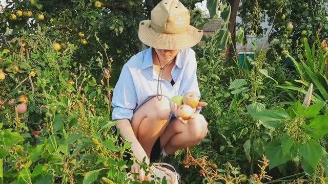 ДОЧЬ ПРИЕХАЛА🎉 УРОЖАЙ ЯБЛОК теперь в её руках. Самый сладкий урожай в деревне 🍎