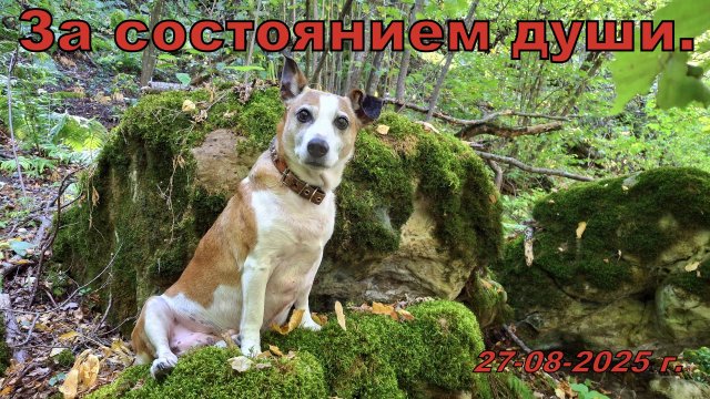 За состоянием дущи.