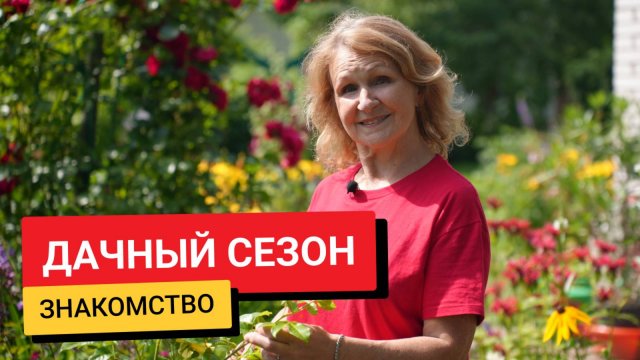 Дачный сезон / Знакомство
