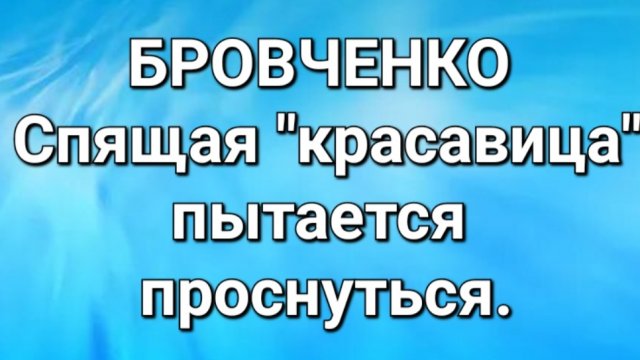 Бровченко/Обзор.