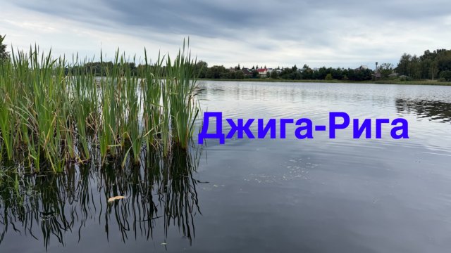 Утренняя прогулка. Риг на Окуня. Рыбалка на пруду. Ловля рыбы.