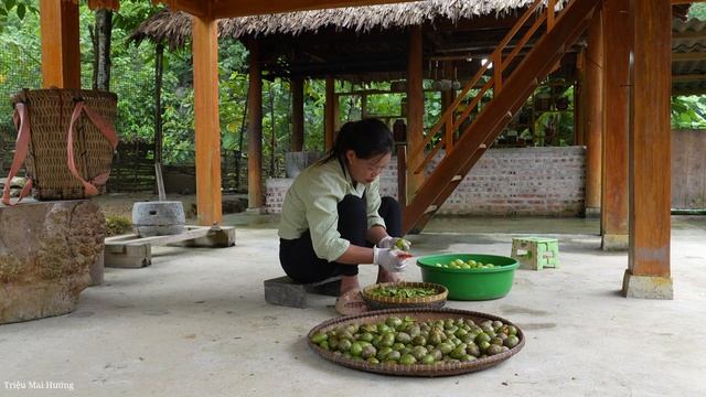 Harvesting Toad Fruit - How to Make Delicious Salted and Chili Toad Fruit . Trieu Mai Huong