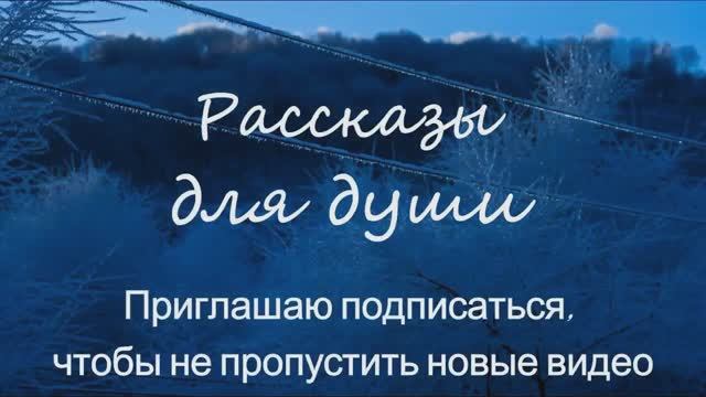 Рассказ из семейной жизни - СЛУШАТЬ И НЕ СЛЫШАТЬ