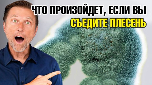 Плесень и грибок в организме: чем они реально опасны🧐