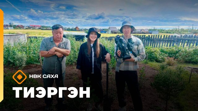 «Тиэргэн» Иннокентий Аполлонович мас  олордон көрдөрдө  (29.08.25)