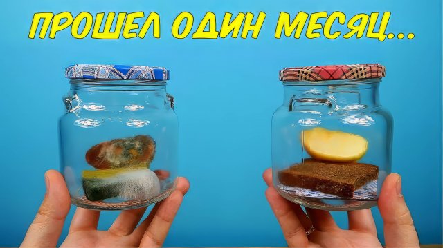 Эксперимент с поглотителем кислорода. Прошел один месяц и что?