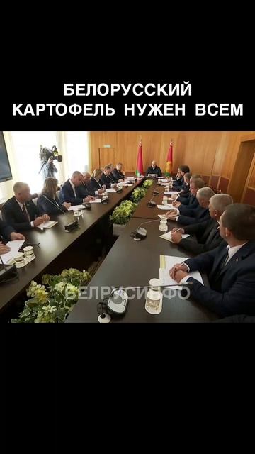 Белорусский КАРТОФЕЛЬ нужен всем — ЛУКАШЕНКО @shorts БЕЛРУСИНФО