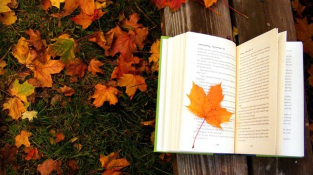 Обзор литературы  «Уютные книги для осенних вечеров»
