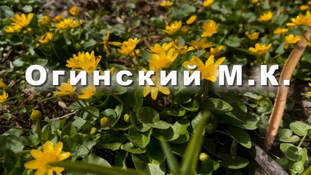 Михаил Огинский Полонез 22 Музыка для души