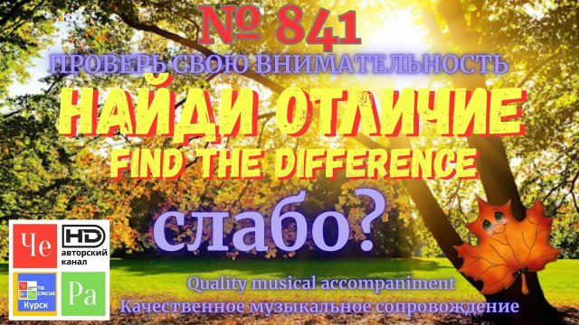 "Найди отличие" / "Spot the Difference" _ выпуск № 841