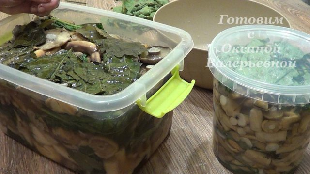 Засолка груздей (холодный способ с рассолом). Солим грузди-скрипуны. Готовим с Оксаной Валерьевной.