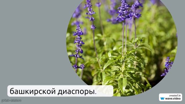 Фамилия Агибаловы: исследуем происхождение, историю и значения фамилии
