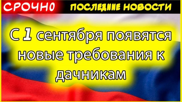 Новые правила для дачников с 1 сентября 2025: за что могут оштрафовать или отнять участок