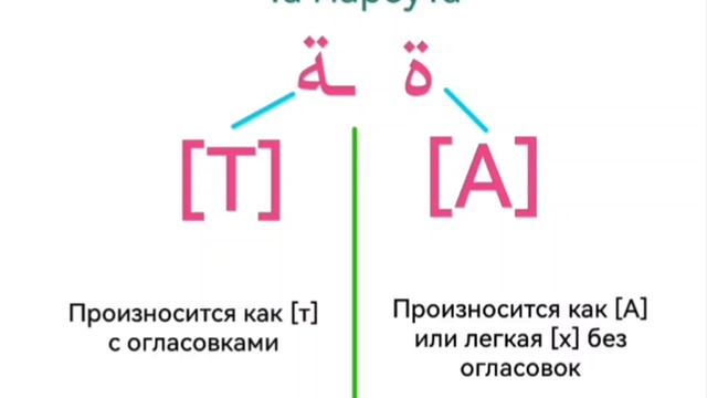 Арабские буквы, которые пишутся только в конце слова: Та марбута и Алиф максура