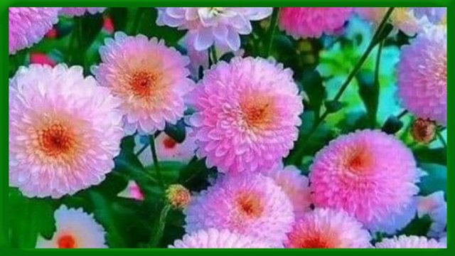 ЕСТЬ ЛЮДИ, КОТОРЫЕ ЛУЧШЕ МЕНЯ!!! / стихи ИРИНЫ КУЛЬ /