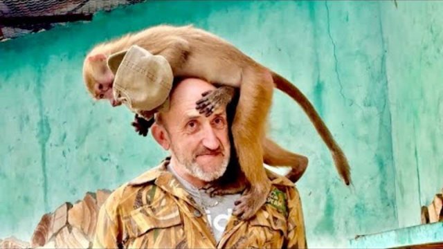 ВПЕРВЫЕ! Мы пришли вчетвером в вольер гамадрилят, да еще и с медведями, ЛЮСЬКА В ШОКЕ )