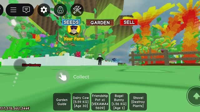 это мой сад