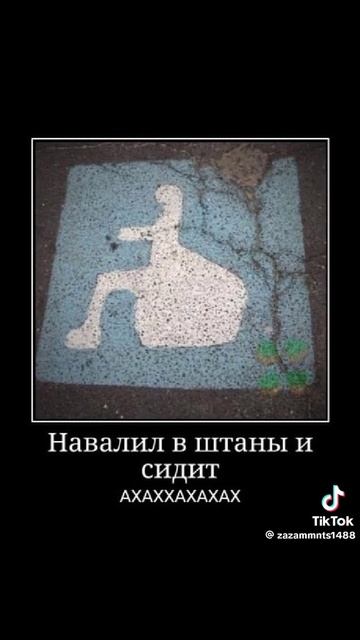 смешные картинки
