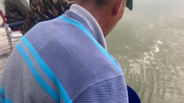 Субботний запуск форели