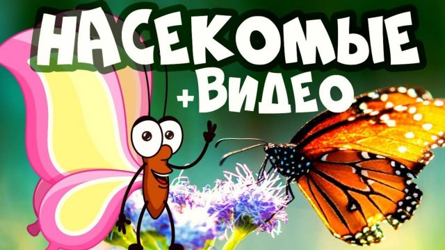 НАСЕКОМЫЕ для детей - развивающие мультики про животных для детей
