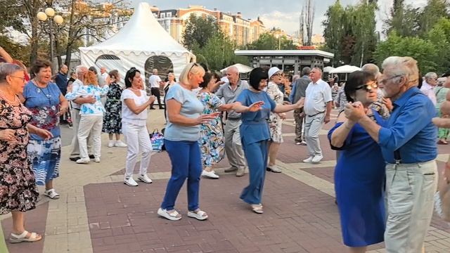 Эти жёлтые розы... 30.08.25...