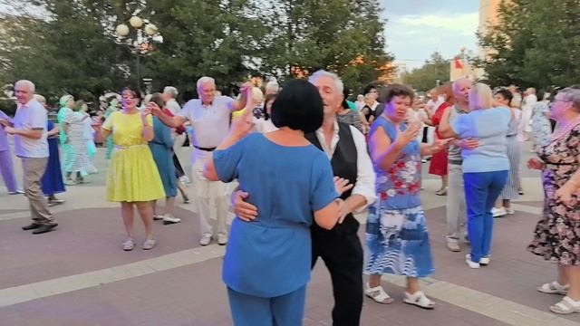 Белые ромашки... 30.08.25...