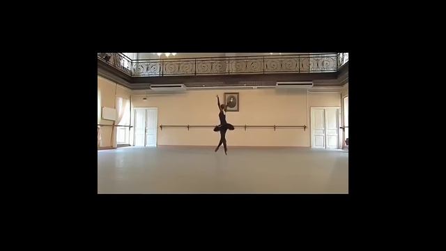 ЛЕБЕДЬ (Якобсон). Юлия Степанова