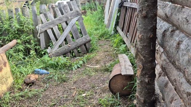 Наша бабья работа по кругу/ кучкую тыкву/ новости по телевизору