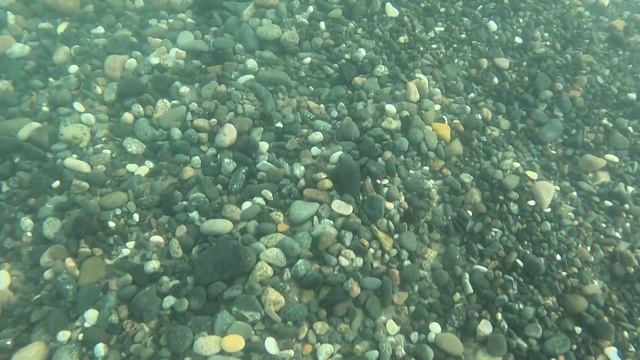 В море с головой