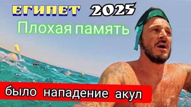 Египет 2025 🇪🇬 НЕ ТЕРЯЙТЕ БДИТЕЛЬНОСТЬ Tropitel Sahl Hasheesh 5* БЫЛО НАПАДЕНИЕ АКУЛ