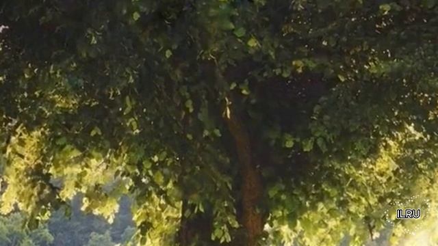 Рассказы истории из жизни слушать онлайн. Жизнь до и после тебя...