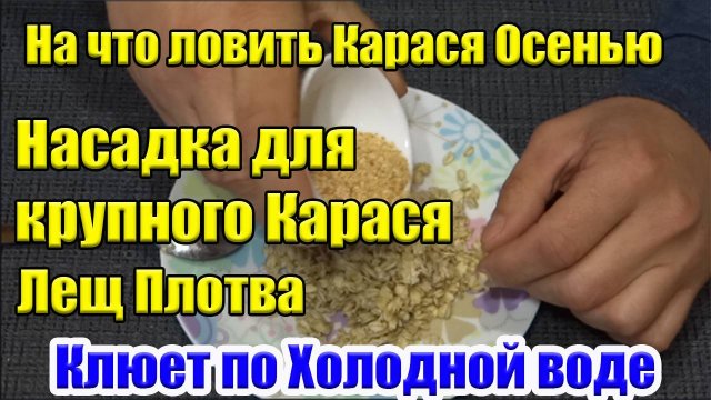 Лови по Холодной Воде! Насадка на Карася Лещ Плотва Насадка для рыбалки