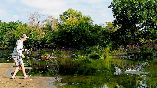 САЗАН ГНЕТ УДОЧКИ ДО ВОДЫ! Лучшая рыбалка сезона. И НЕЗВАНЫЕ ГОСТИ на берегу.