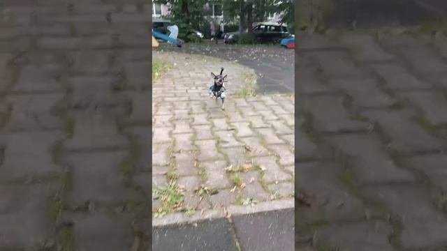 На площадке.