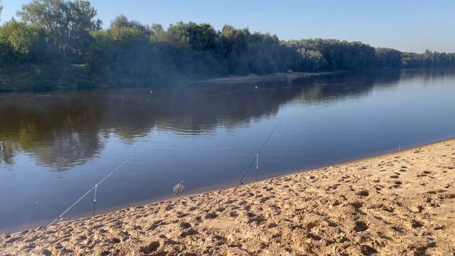 Рыбалка на берегу реки в городе !