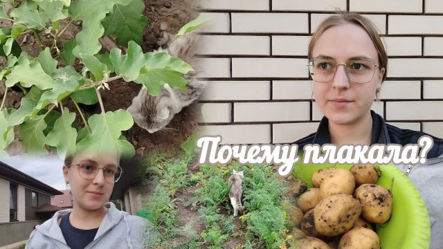 VLOG Почему плакала?🥺 Семён играет с баклажанами🍆
