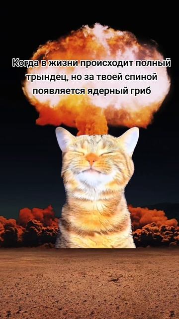 И сразу всё становится хорошо