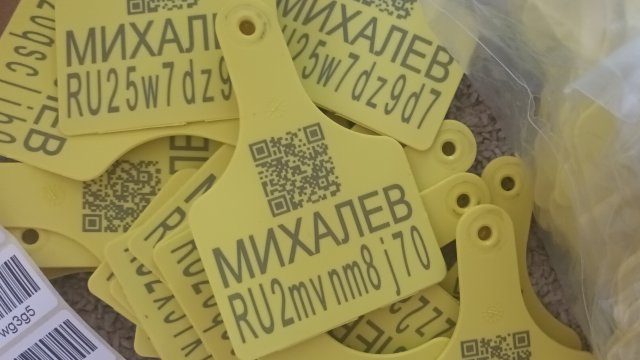 Маркировка пчел Идентификация пчелиных семей.mp4