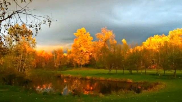 Осеннее - автор Мария Погорелова исполняет Светлана Полыгалова