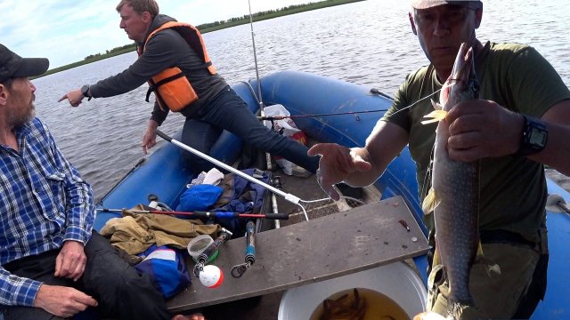 И опять НАДУБАСИЛИ щуки по быстрому!